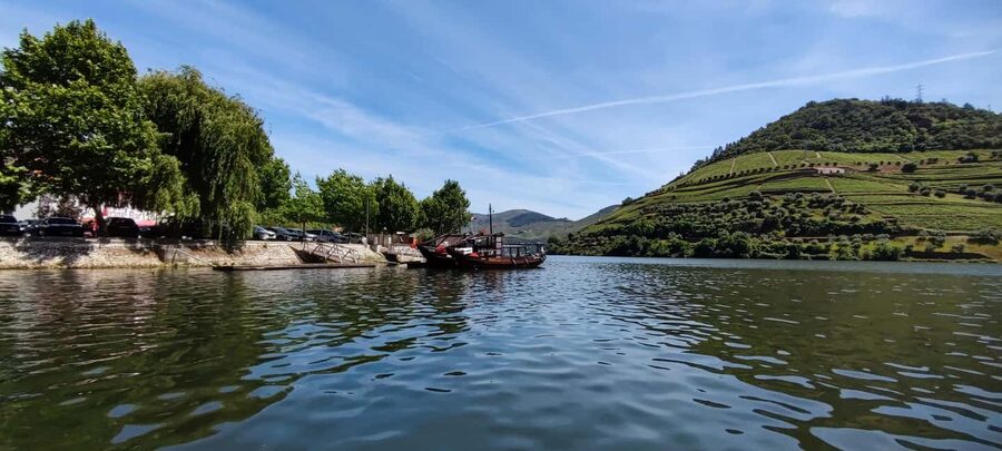 Pinhão Experience: Wine Tasting, Lunch, and Rabelo Boat - Who should book, and who should skip