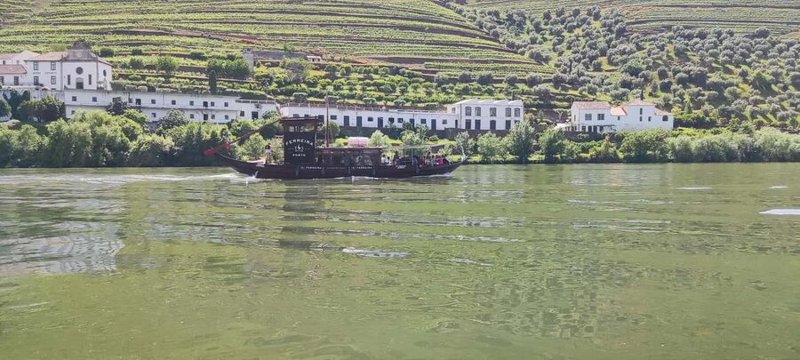 Pinhão Experience: Wine Tasting, Lunch, and Rabelo Boat - Should you book the Pinhão wine and boat experience?