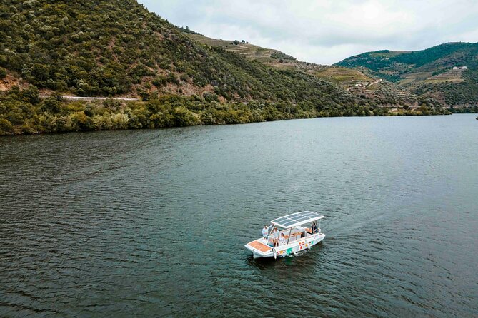 Pinhão: Private Electric Boat Tour 2h| Wine Tasting Included - Wine tasting with Adega de Favaios, plus a kid-friendly option