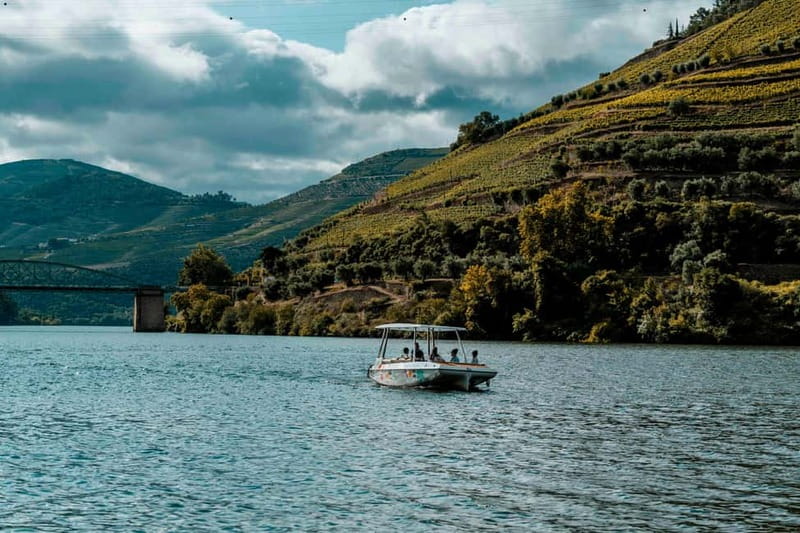 Pinhão: Private Electric Boat Tour 2h| Wine Tasting Included - Who should book this private electric boat and wine tasting