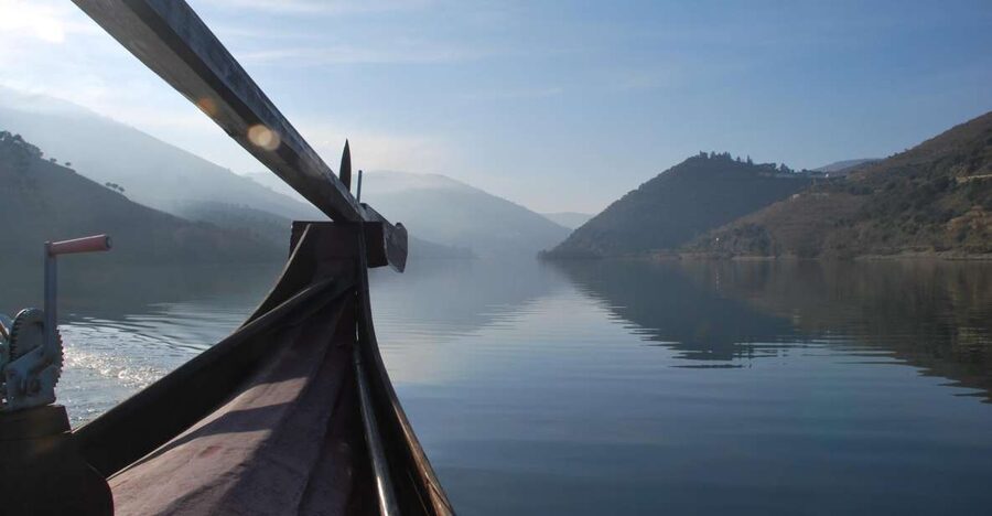 Pinhão: Private Rabelo Boat Tour along the River Douro - Terraced vineyards where you do not see cars