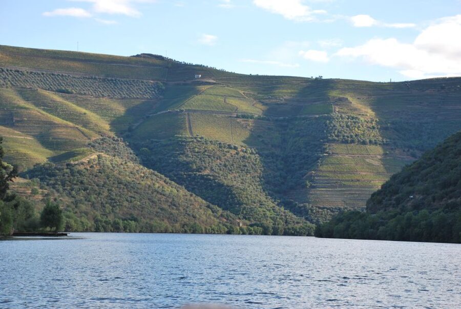 Pinhão: Private Rabelo Boat Tour along the River Douro - The return trip: same stretch, different angles