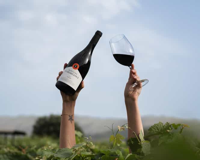 Pinhão: Quinta da Formigosa Vineyard Tour and Wine Tasting - Quick hits before you go