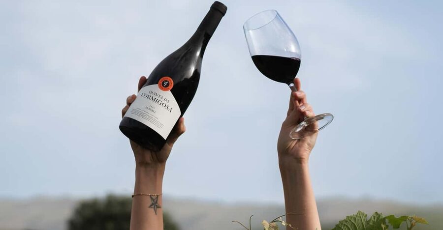 Pinhão: Quinta da Formigosa Vineyard Tour and Wine Tasting - Meeting inside the tasting room: where the visit starts