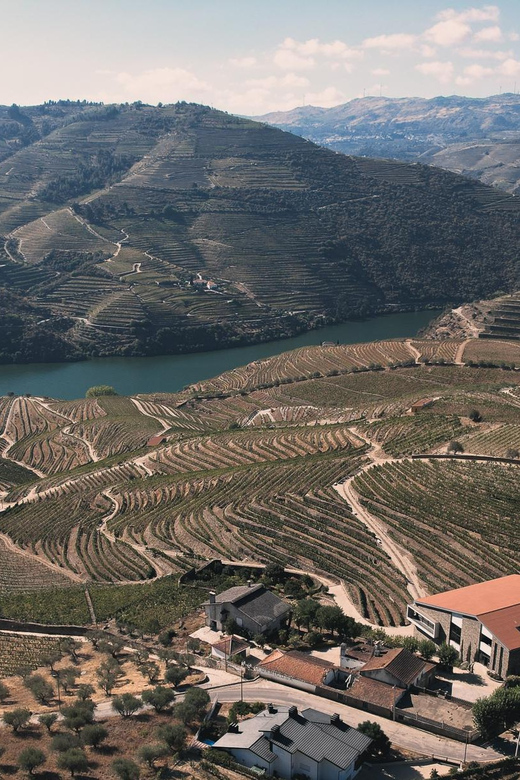 Pinhão: Quinta da Formigosa Vineyard Tour and Wine Tasting - Vineyard walk and photo stop: learning the slopes before the cellar