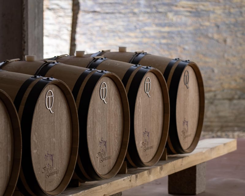 Pinhão: Quinta da Formigosa Vineyard Tour and Wine Tasting - Price and value: why $35 can feel fair here