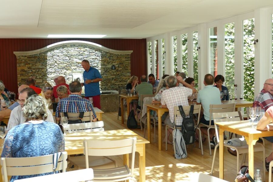 Pinhão: Quinta do Bomfim Visit and Tasting - Quinta do Bomfim at a Glance (Why This Stop Feels Worth It)