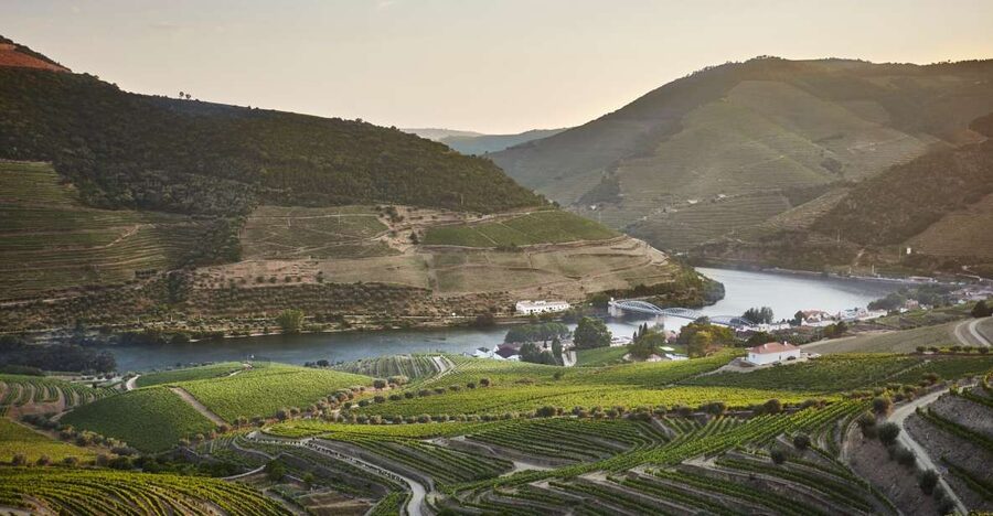 Pinhão: Quinta do Bomfim Visit and Tasting - The Old Lodge (Built 1896) and Why It’s More Than a Photo Spot