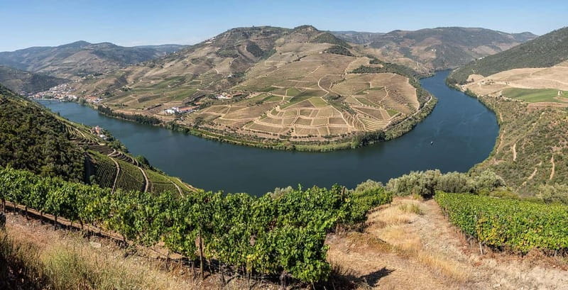 Pinhão: Rabelo Boat Cruise with a Port Tasting at a Winery - Should you book the Pinhão Port cruise with tasting?