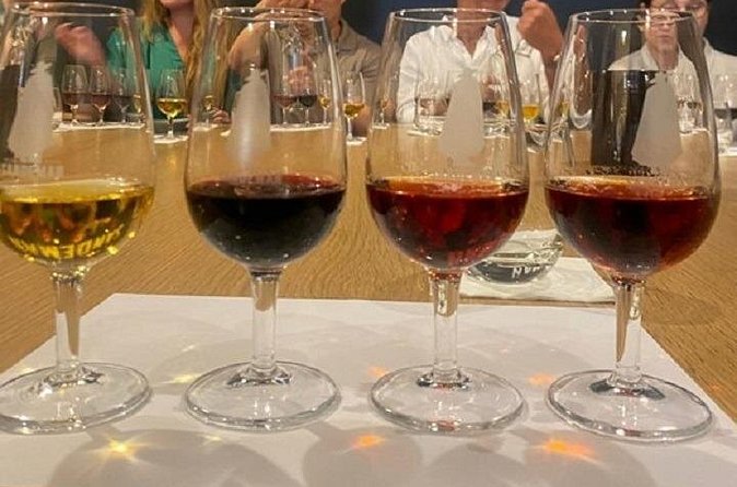 Port and Douro Wine Private Tasting and Pairing with a Sommelière - How the walking route works, and how to not feel rushed
