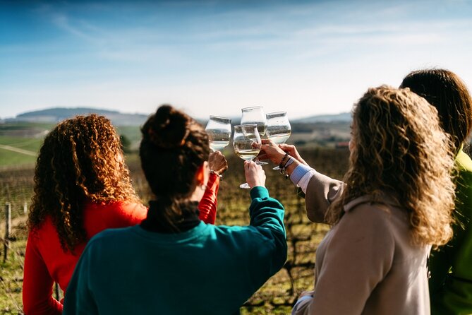 Port : Douro Valley Tour with 2 Wineries, Lunch and Cruise - Key highlights to know before you go