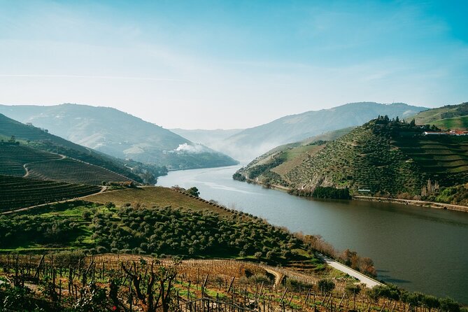 Port : Douro Valley Tour with 2 Wineries, Lunch and Cruise - Logistics that matter: pickup, mobile tickets, and timing