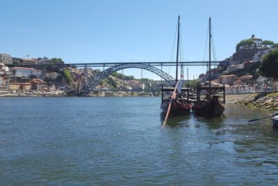2h Private Tour (1 to 6 people) on the Douro River with a local