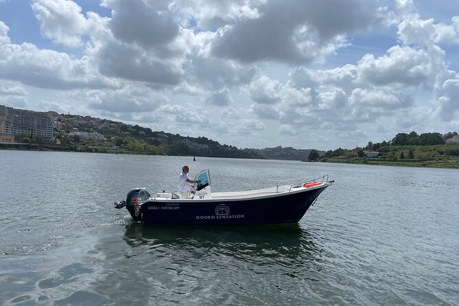 Porto: 2h Private Tour (1 to 6 people) on the Douro River with a local - When to book: time of day, weather, and your Porto plan