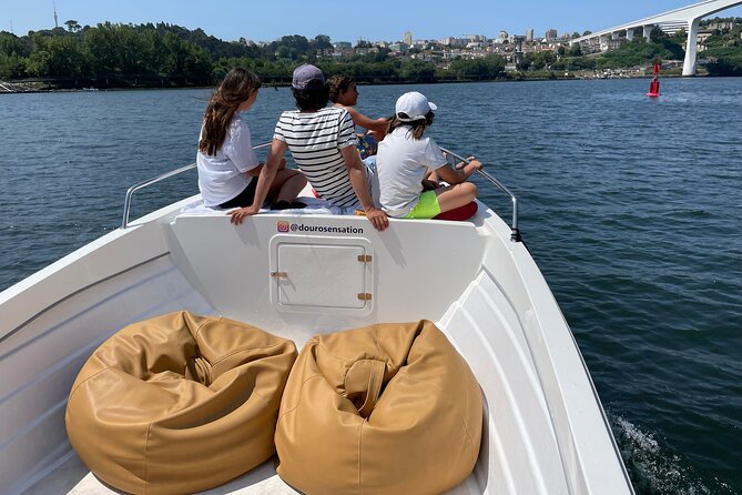 Porto: 2h Private Tour (1 to 6 people) on the Douro River with a local - A balanced reality check: what could go wrong