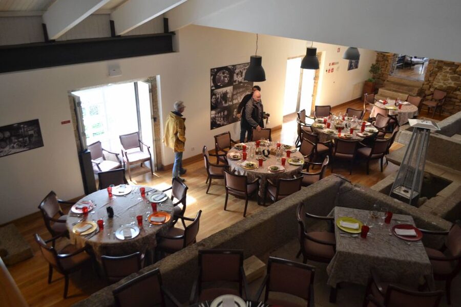 Porto: 3 Douro Valley Vineyards Tour with Lunch - Practical Tips To Make The Douro Day Feel Easy