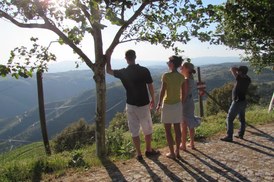 Porto: 3 Douro Valley Vineyards Tour with Lunch - Your 8:30 AM Start From Porto, Then Straight Into Douro Country