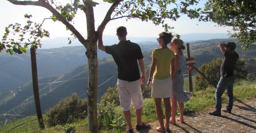 Porto: 3 Douro Valley Vineyards Tour with Lunch - Coffee Break, Mountain Roads, Then Another Estate Stop With Real Views
