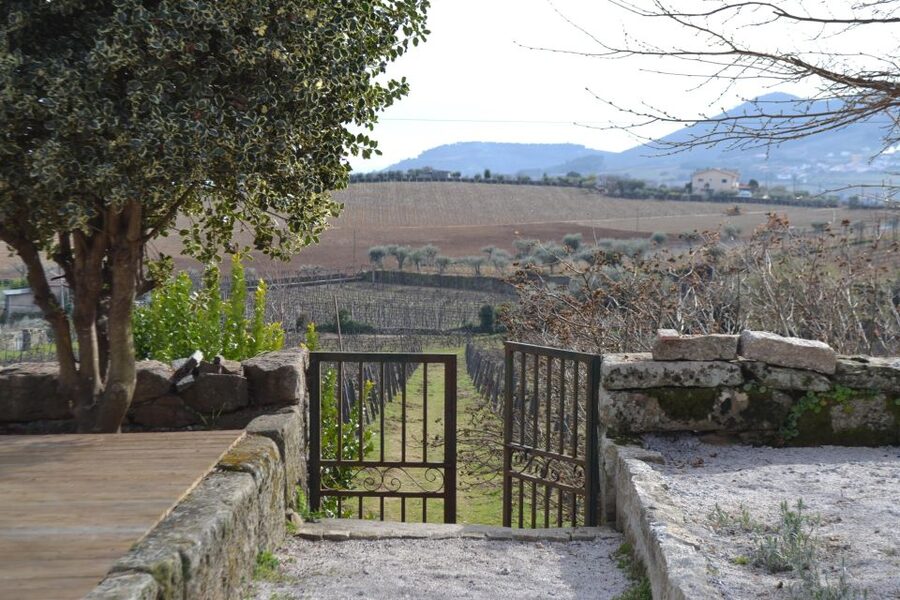 Porto: 3 Douro Valley Vineyards Tour with Lunch - Lunch At The Second Vineyard: Eat Like A Local, With Wine Included