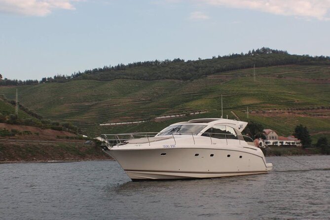 Porto and Douro: Private tour in Yacht - D. Luís I Bridge: metal structure and twin boards