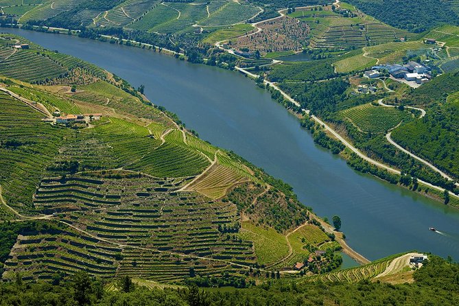 Porto: Day Trip to Douro including lunch and Rivercruise - Miradouro de São Leonardo da Galafura, the 640-Meter View That Resets the Day