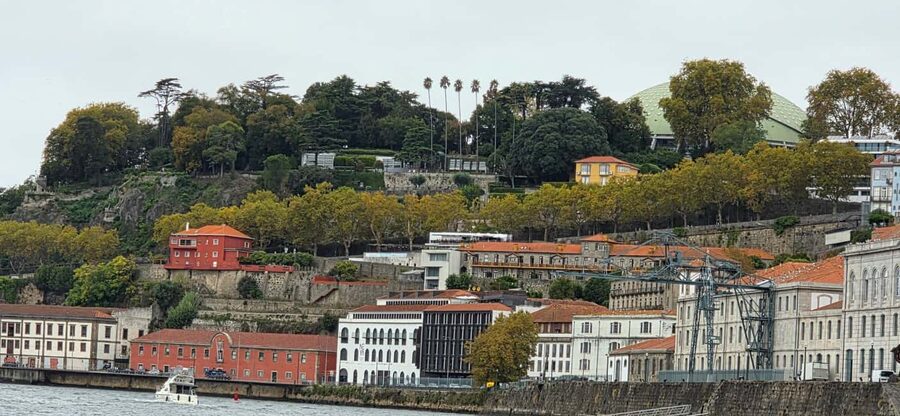 Porto: Discover the Douro River by Sailing Boat - Who should book this Douro sail?