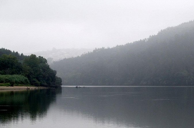 Porto Douro Nature Boat Tour - The Practical Stuff: Time, Language, and Group Size