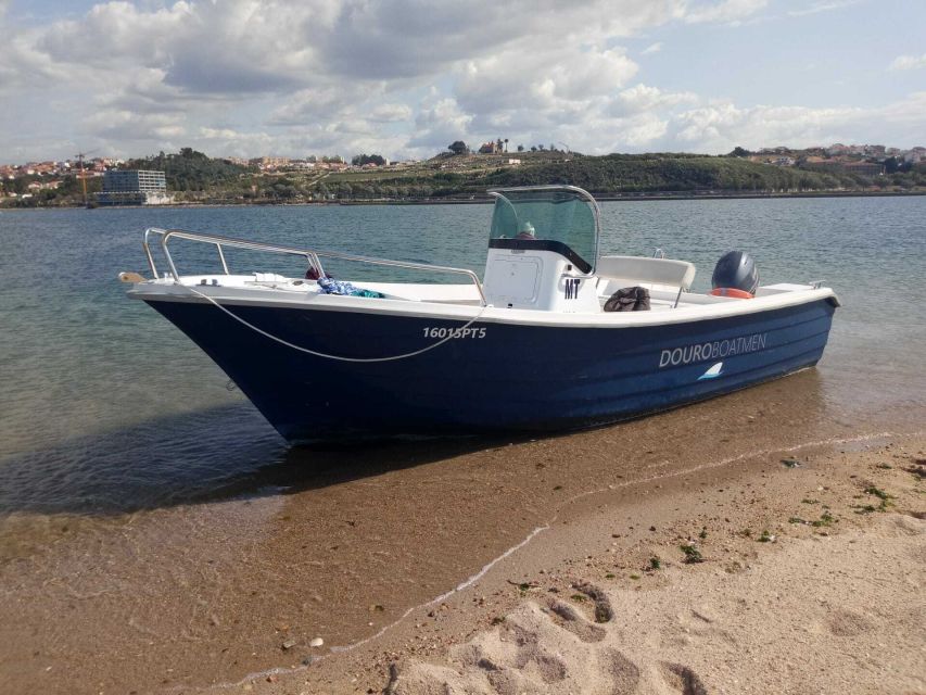 Porto: Douro River Cruise w/ Portuguese Wines & Local Host - Why the Small-Boat Format Works So Well