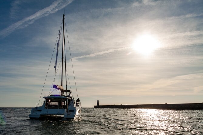 Porto Douro River Cruise With Port Wine - Daytime or Sunset - The Douro Estuary Natural Reserve and wildlife moments