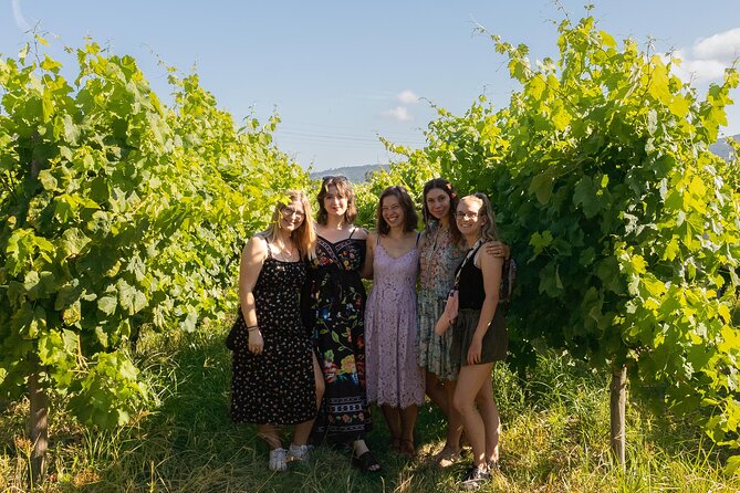 Porto: Douro Valley, 2 Wine Regions, Sommelier, Boat Trip & Lunch - A small-van Douro Valley day that starts with Porto convenience
