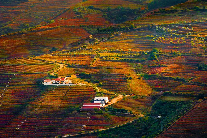 Porto: Douro Valley, 2 Wine Regions, Sommelier, Boat Trip & Lunch - Pinhao boat cruise: one hour on the river, made for photos