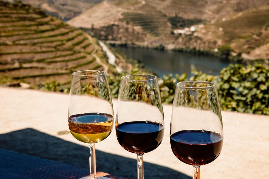 Porto: Douro Valley & Amarante Wine, Food & River Tour - Key points that make this tour worth your time