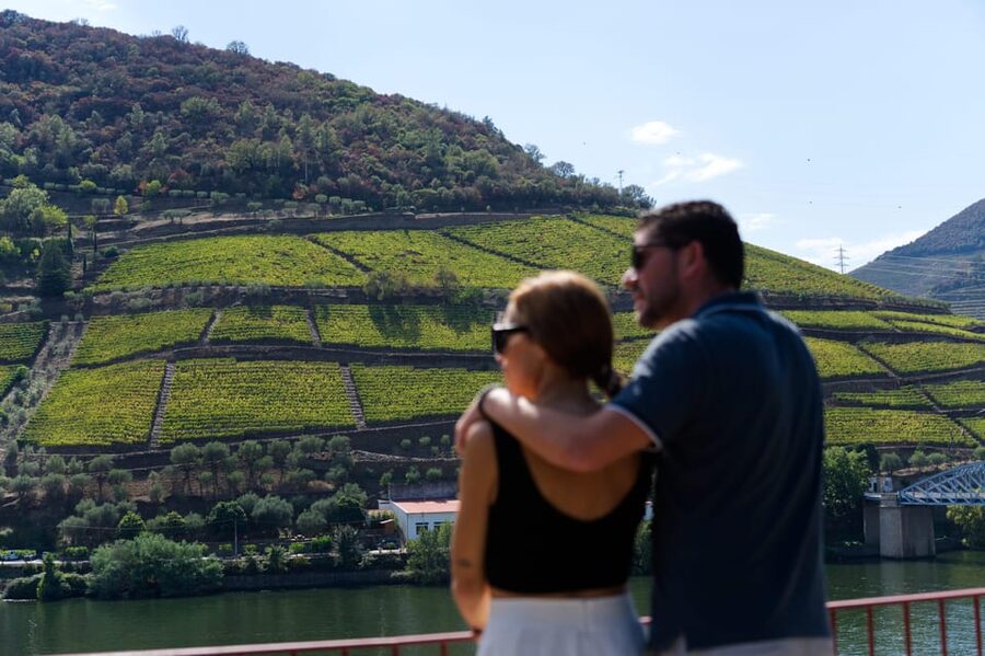 Porto: Douro Valley & Amarante Wine, Food & River Tour - From Trindade Domus to the N222: the drive that sets the mood