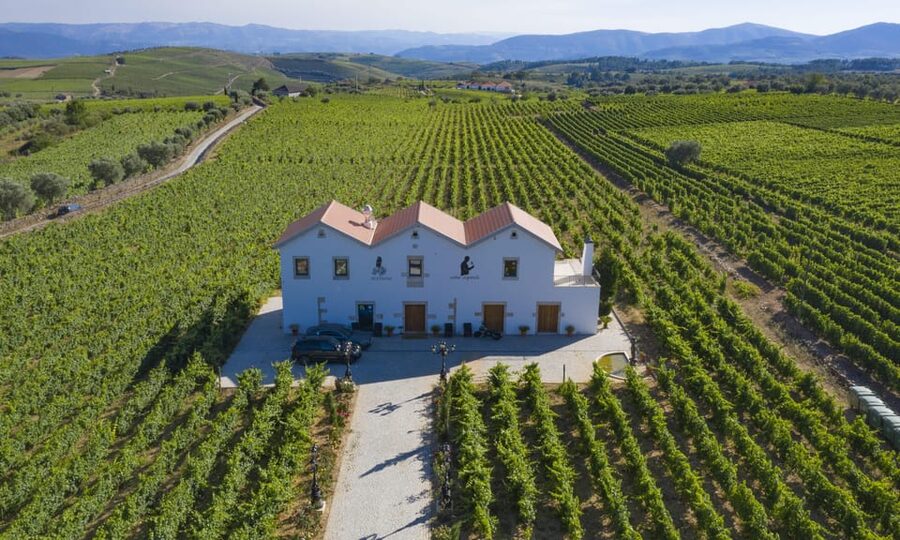 Porto: Douro Valley Day Trip with Lunch and Favaios Village - Key moments that make this day trip work