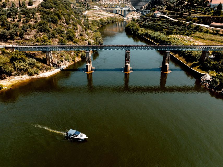 Porto: Douro Valley Full-Day Boat, Train, and Lunch Tour - Key highlights worth your attention