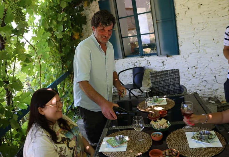 Porto: DOURO VALLEY Half-day Tour - Key points before you go