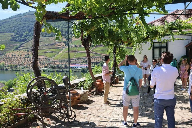Porto: DOURO VALLEY Half-day Tour - Porto to the Douro Valley, the long-ride part that actually matters