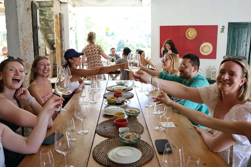 Porto: DOURO VALLEY Half-day Tour - Who this half-day Douro tour suits best