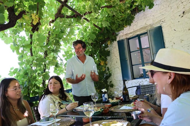 Porto: DOURO VALLEY Half-day Tour - Practical tips so the day stays fun, not frantic