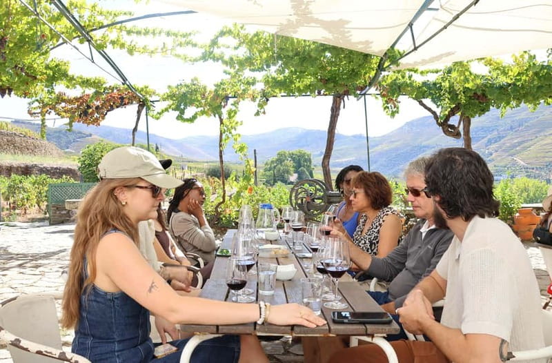 Porto: DOURO VALLEY Half-day Tour - Should you book this Porto to Douro half-day tour?