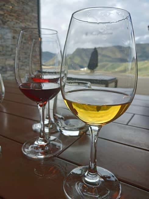 Porto: Douro Valley Half-Day Wine and Food Tour - From Porto to the Douro Valley in a half-day (the practical version)