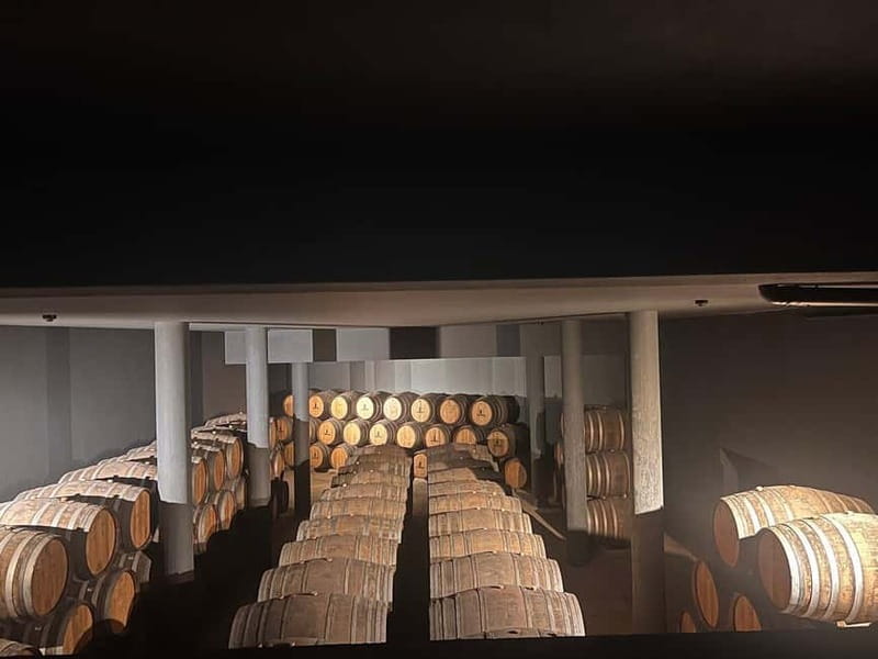 Porto: Douro Valley Half-Day Wine and Food Tour - Family estate tastings, olive oil museum, and real Port and table wines