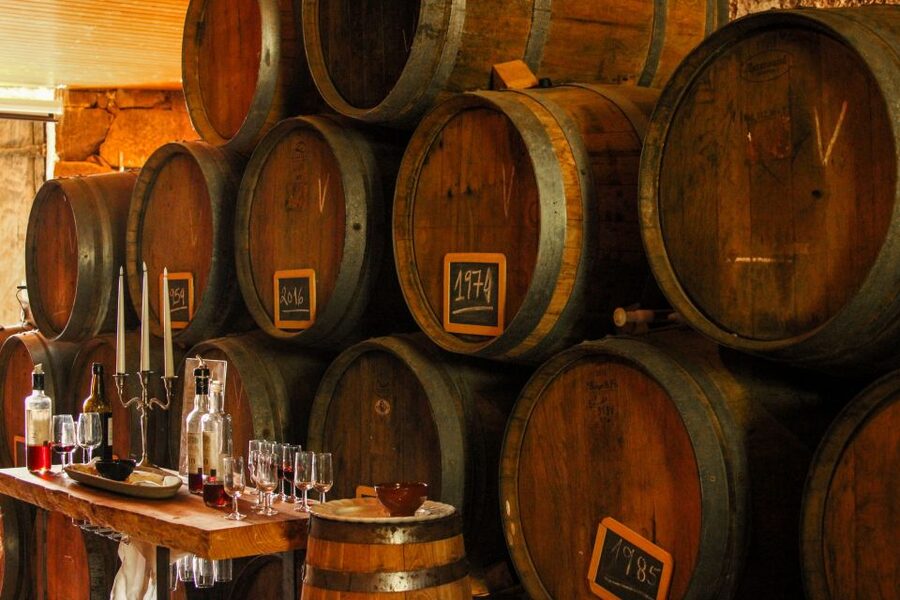 Porto: Douro Valley History & Wine Tour with Cruise & Lunch - Final verdict: should you book this Douro Valley tour?