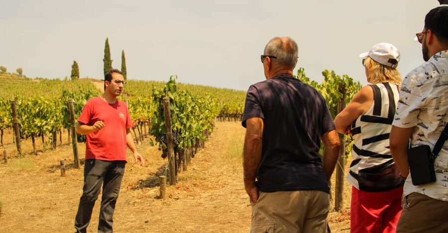 Porto: Douro Valley History & Wine Tour with Cruise & Lunch - Lunch with Douro wines: where the tour earns its value