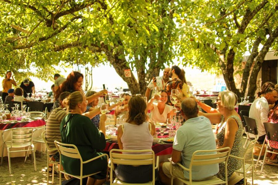 Porto: Douro Valley History & Wine Tour with Cruise & Lunch - Price and logistics: is $104 a fair deal?