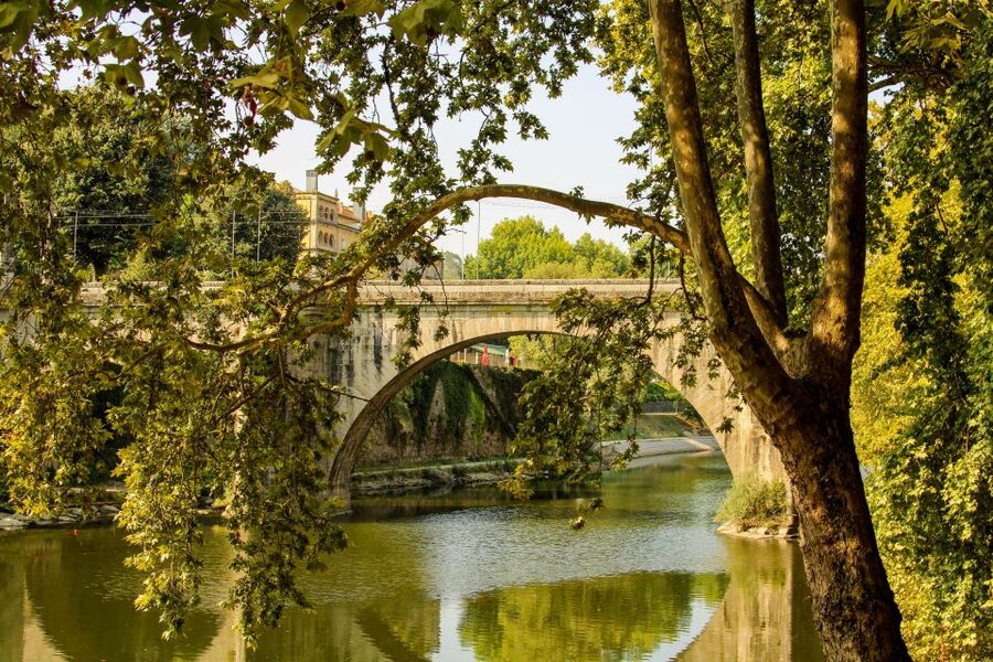 Porto: Douro Valley History & Wine Tour with Cruise & Lunch - Who this tour is best for