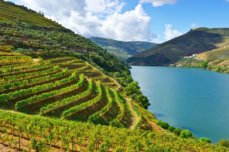 Porto: Douro Valley History & Wine Tour with Cruise & Lunch - São Leonardo da Galafura: the viewpoint that makes the Douro click