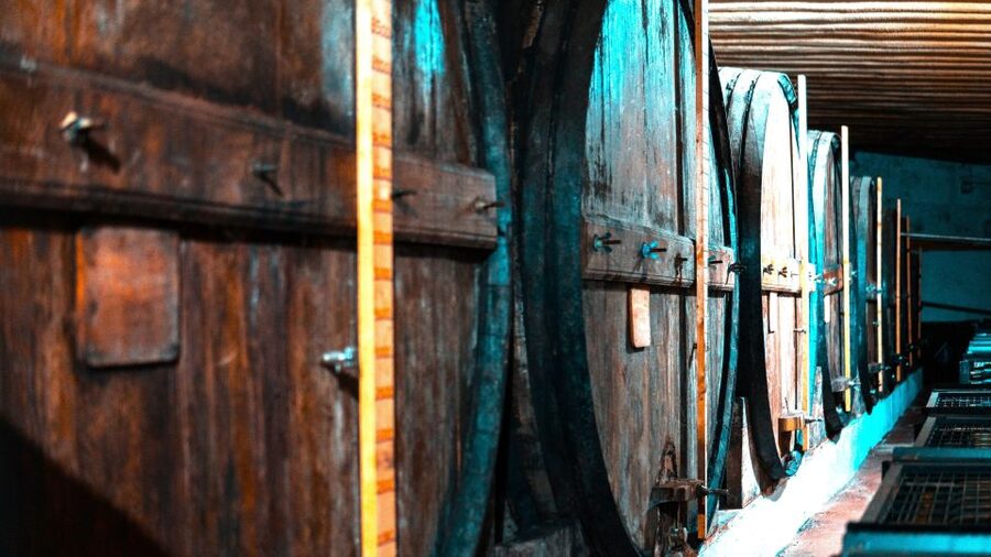 Porto: Douro Valley Private Grand Experience - Private - Who Should Book This Private Douro Grand Experience