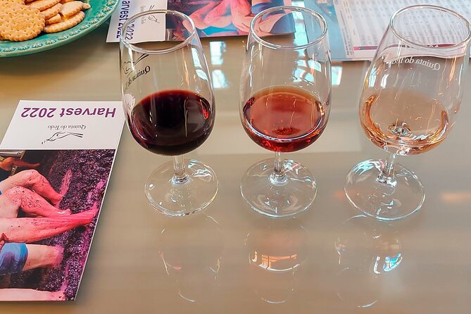 Porto: Douro Valley Private Grand Experience - Private - Pickup to Viewpoints: How You Start Seeing the Douro Fast