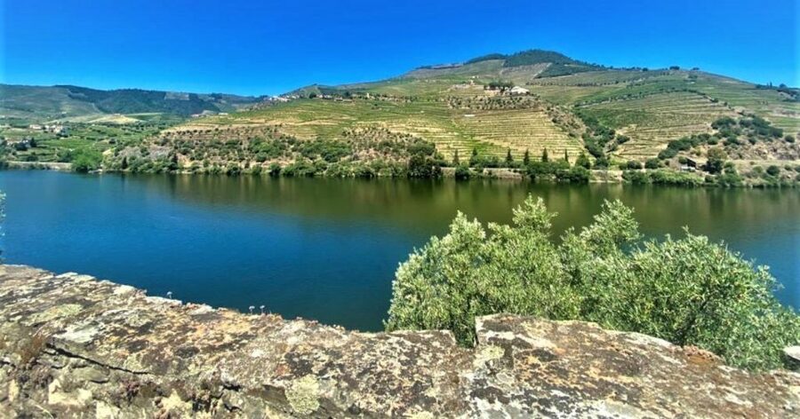 Porto: Douro Valley Private Tour 2 Vineyards & River Cruise - What to pack and how to stay comfortable for a 9-hour day